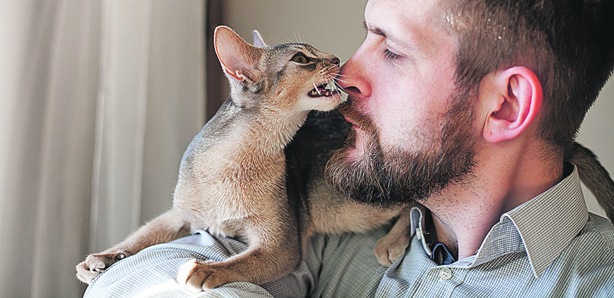 Maćke važe za ćudljiva stvorenja, ali uz ove trikove steći ćete njihovo poverenje