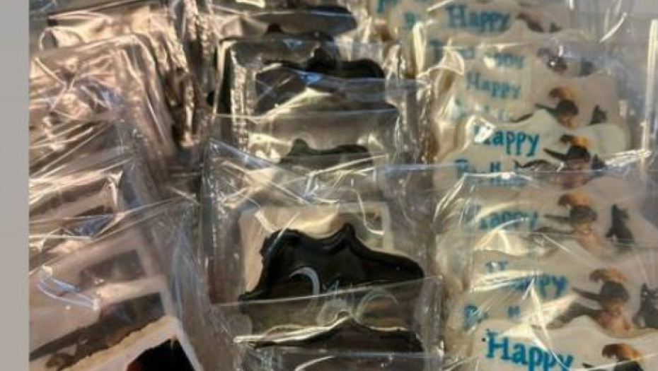 Marija Karan rođendan sina 