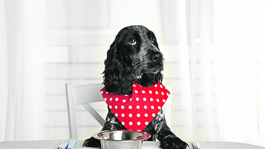 Usrećite svog najbolje četvoronožnog prijatelja domaćim ručkom koji se brzo pravi ZASLUŽIO JE!