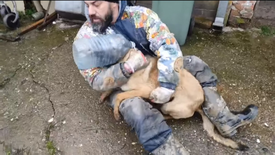 Monstrumi maltretirali psa, niko danima da mu pomogne