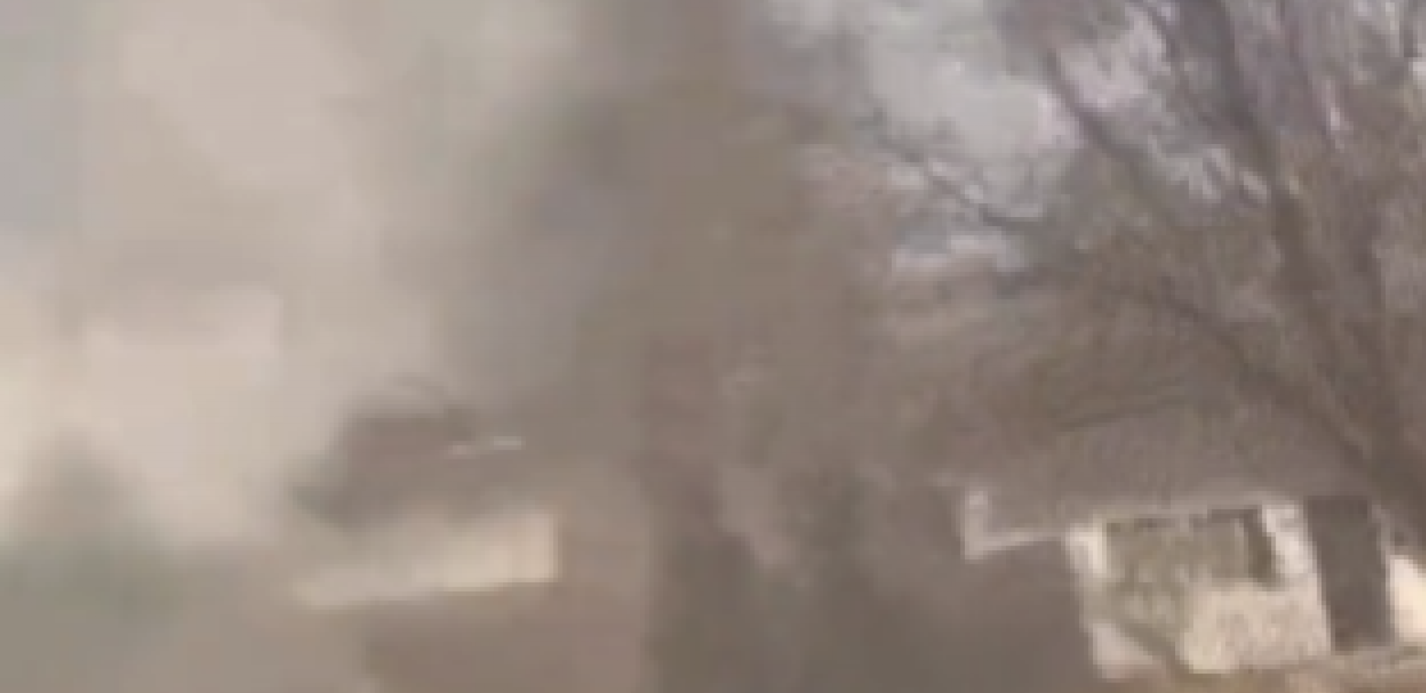 SRUŠIO SE AVION, POGINULA JEDNA OSOBA! Užasna nesreća u Njujorku (VIDEO)