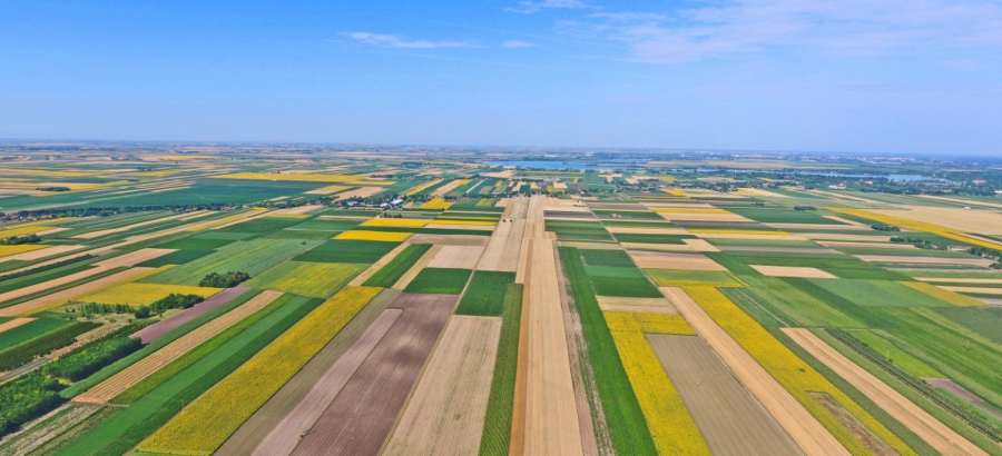10 FASCINANTNIH ČINJENICA O VOJVODINI Putovanje kroz istoriju i lepotu naše ravnice!