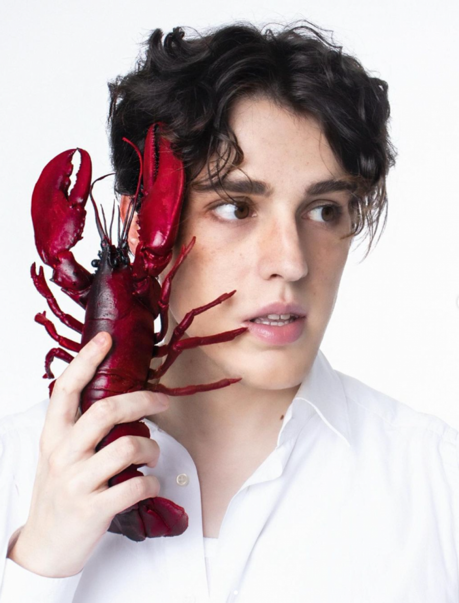 PEVAČICA OSUDILA LUKU BLEKA Maja Nikolić oštro iskritikovala nastup pobednika: 