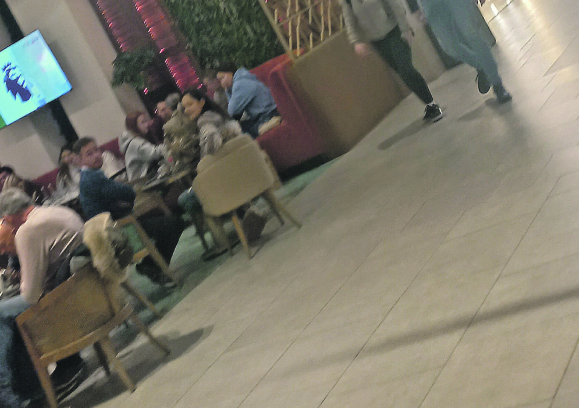 ALO! PAPARACO: PULEN VUKA JEREMIĆA NE IZBIJA IZ RESTORANA I KAFIĆA Miki se baškari u Beogradu na vodi koji su pljuvali!