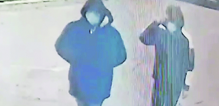 VRBUJU KLINCE IZ KRALJEVA DA UBIJAJU ZA ZVICERA 