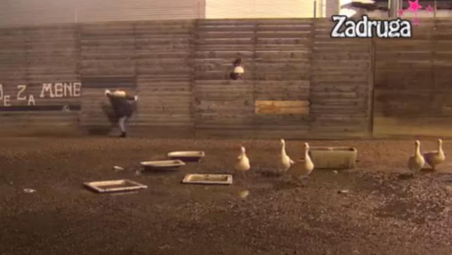 ALEKSANDRA BEŽI IZ ZADRUGE Slomio je raskid sa Filipom, našla rešenje za svoje probleme (VIDEO)