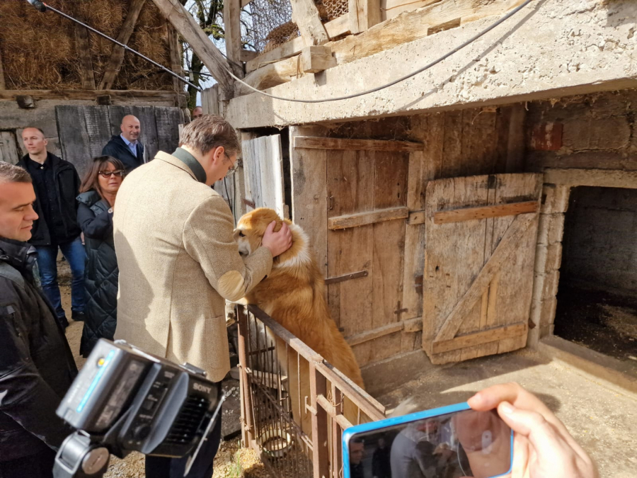 OVDE MORAMO DA ULOŽIMO OGROMAN NOVAC Vučić: U Srbiji je teško pronaći lepše mesto od Vlasine (FOTO/VIDEO)