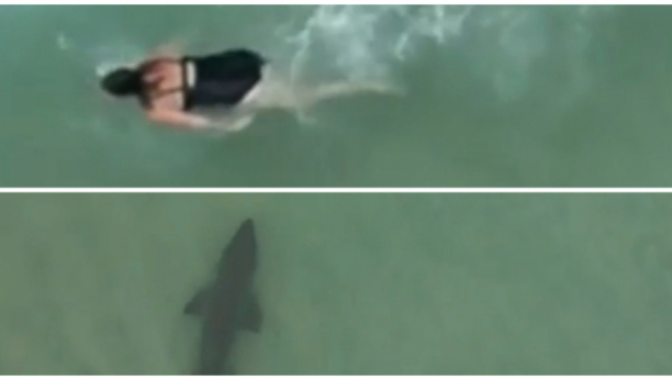 AJKULA SE PRIKRADA! Prizor u Australiji od kojeg staje srce "Nisam mogla da ih upozorim" (VIDEO)