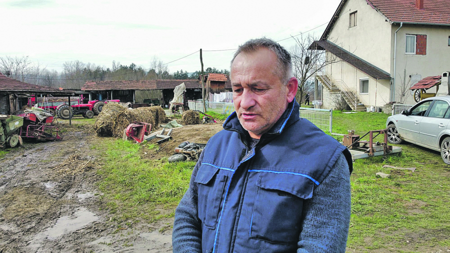 JEZIVO! Vatra progutala štalu s kravama u Čačku: Potraga za odbeglim bikom od 400 kila!