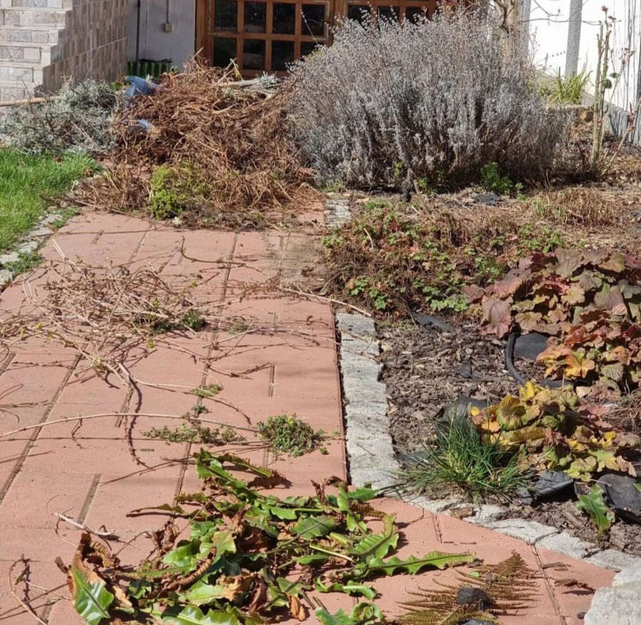 POSLANIK IZNENADIO OBJAVOM I PORUČIO: Neko radi, a neko leškari