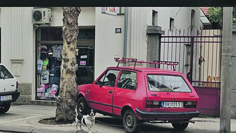 Moj Jugić – mesto za vašeg psa