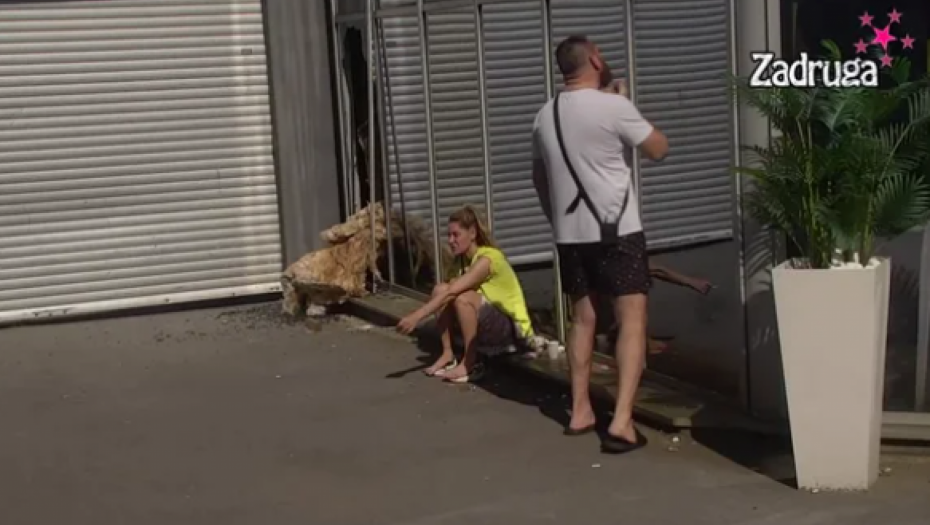 DAO SVOJ SUD Miljan Vračević detaljno analizirao poklenu trojku, evo koja je sličnost Zvezdana i Slobe