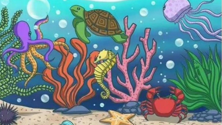 ZA ONE SA VISOKOM INTELIGENCIJOM Uočite ribu na slici za manje od 15 sekundi