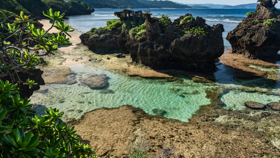 NAREĐENO "BOMBARDOVANJE" OSTRVA MARION: Razlog je više nego šokantan!
