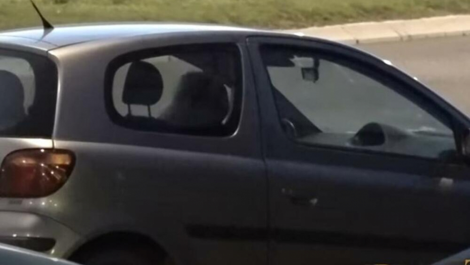 Vera Matović paparaco