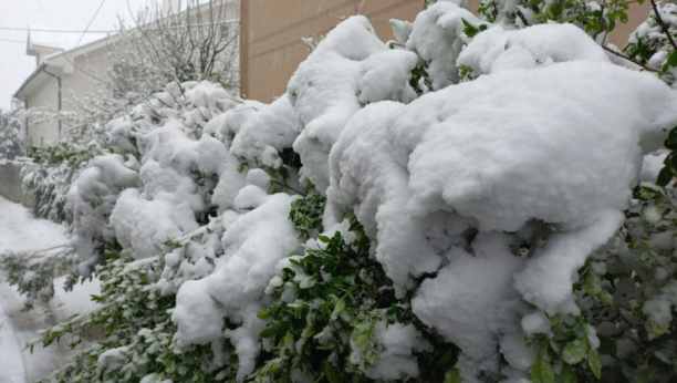 LJUDI, ŠTA SE OVO DEŠAVA?! U Sloveniji počeo da pada sneg! (FOTO)