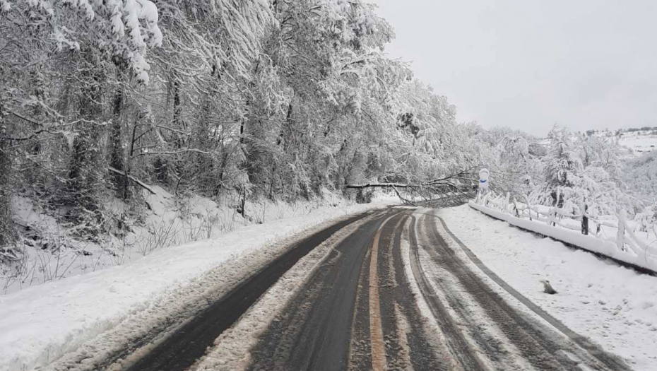 OVDE ĆE USKORO PASTI 20CM SNEGA Objavljena detaljna prognoza za narednih 10 dana
