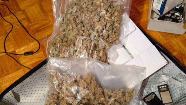 POLICIJSKA AKCIJA U NEGOTINU   Uhapšena tri dilera te je zaplenjeno više od 18 kilograma marihuane