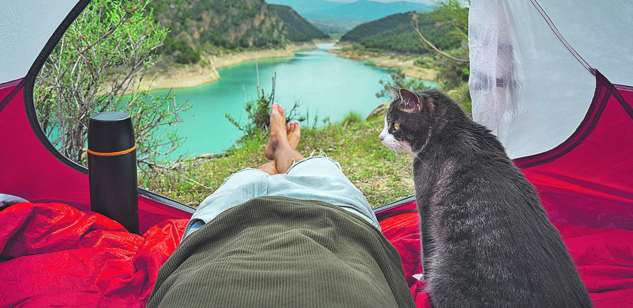 VODIČ ZA AVANTURISTE Iako zvuči neobično, možete voditi svoju cicamacu na kampovanje u prirodu