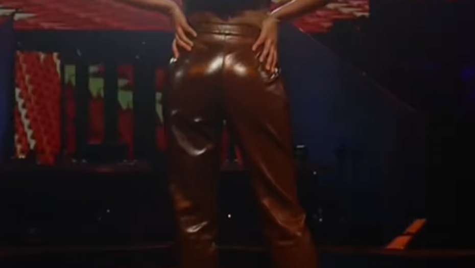 Sanja Kužet u koži