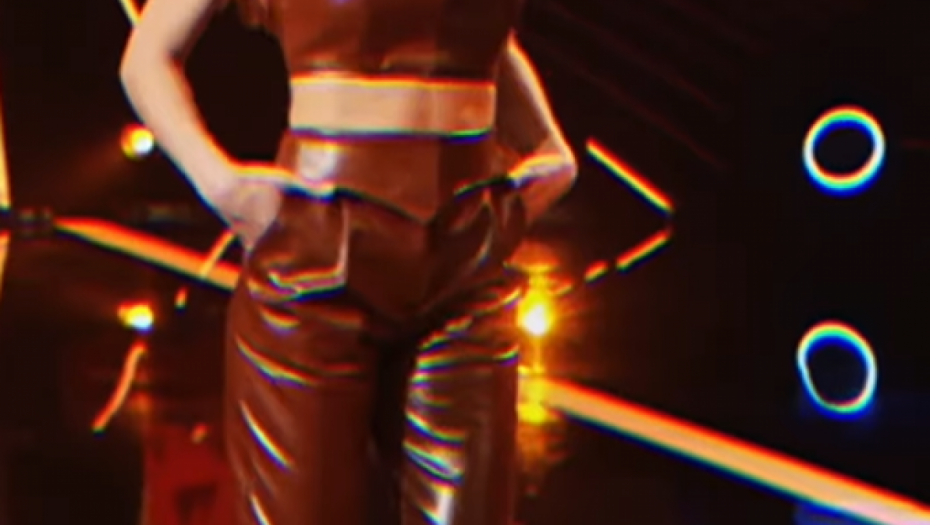 Sanja Kužet u koži