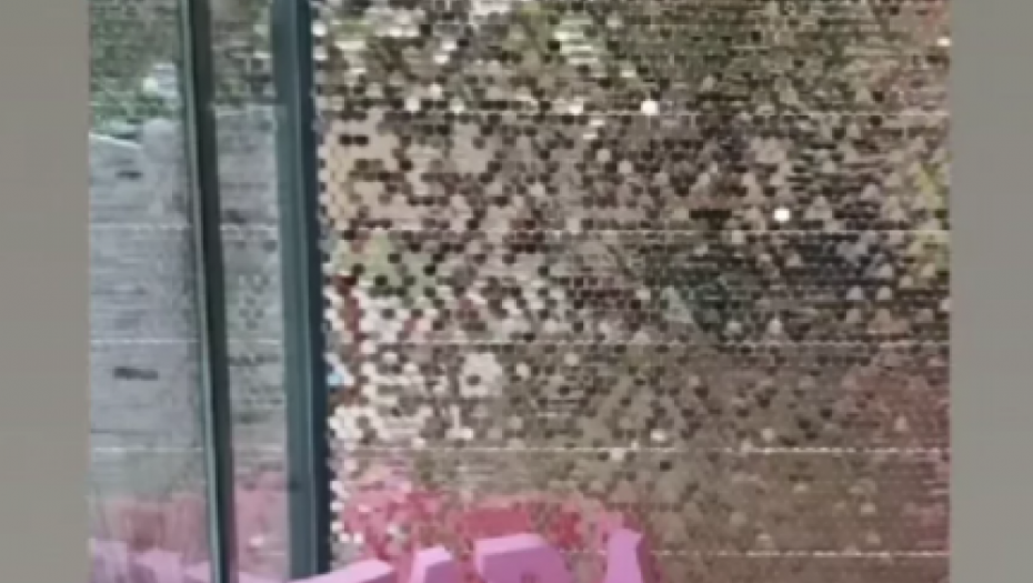 Proslava povodom Tarinog rođendana 