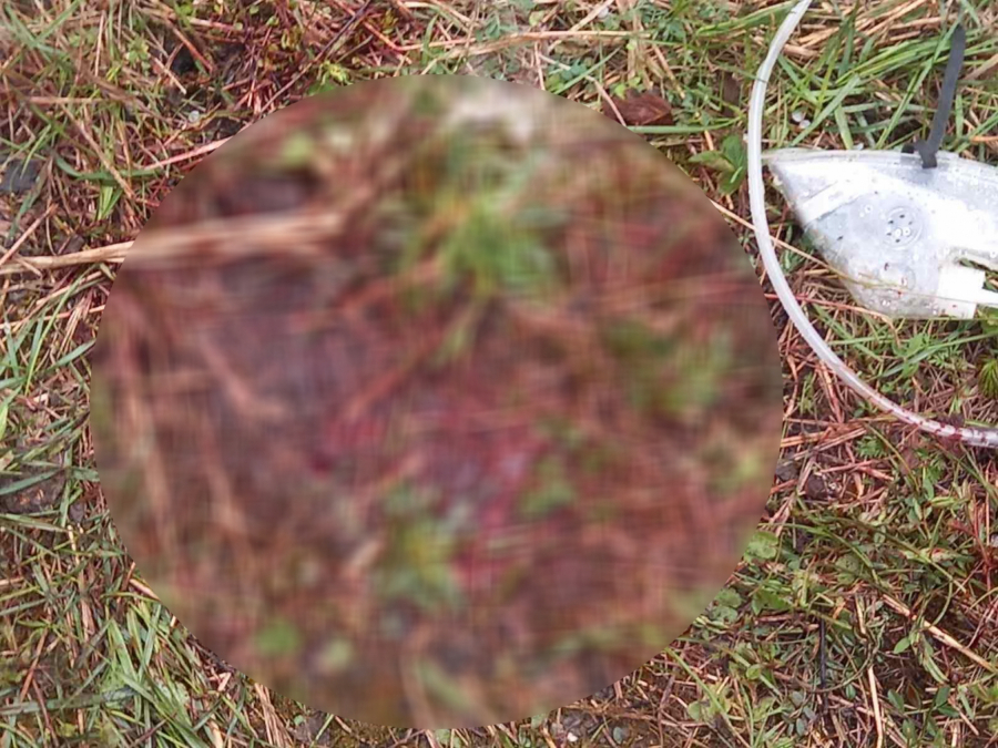 KRV, ZAVOJI I INFUZIJE NA MESTU ZLOČINA U RIPNJU Lekari se borili za život nesrećne tinejdžerke!