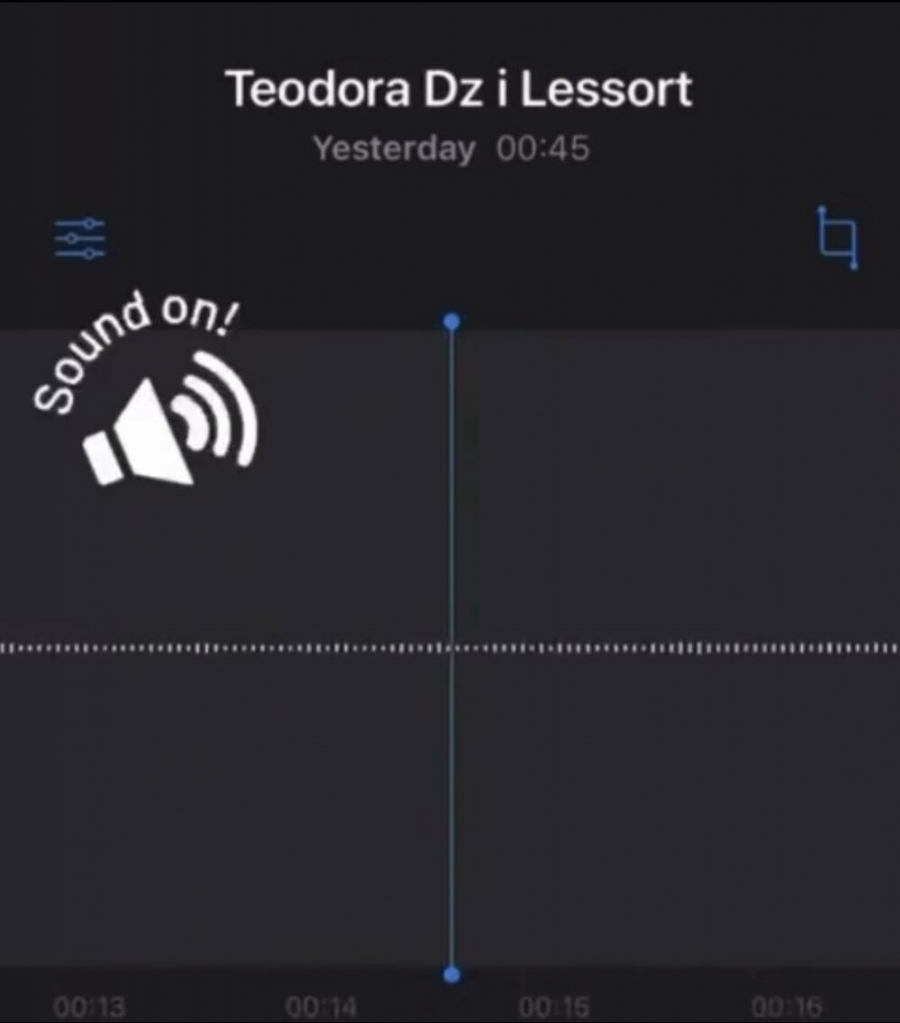 TEODORI DŽEHVEROVIĆ SARADNIK PRETI PRIVATNIM VIDEOM Pustio u javnost audio-snimak vrele akcije sa bivšim dečko, Džehverović na ivici nervnog sloma, skandal! (FOTO)