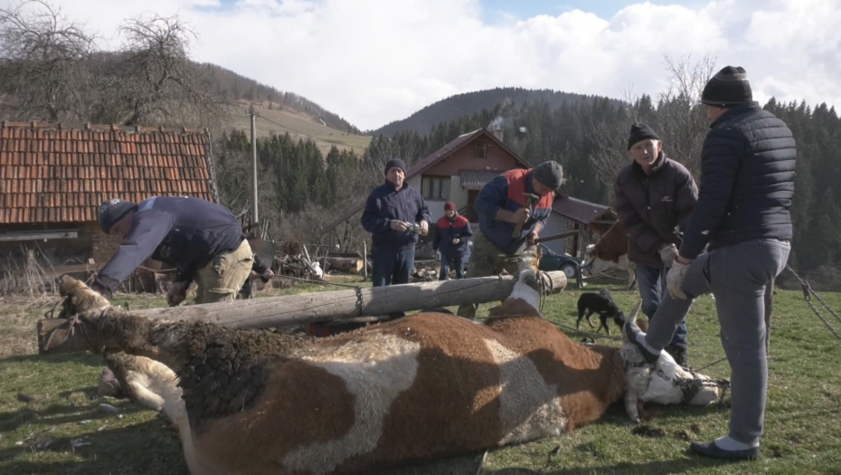 PREOBULI RAŠKA I CVETKA Teški su dve tone ali ih mnogi vole