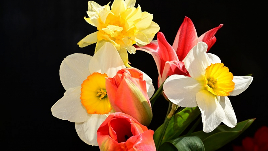 U NEDELJU SLAVIMO CVETI, JEDAN OD NAJSVEČANIJIH PRAZNIKA Dozvoljeno je jesti ribu, a jedan običaj za zdravlje obavezno ispoštujte!