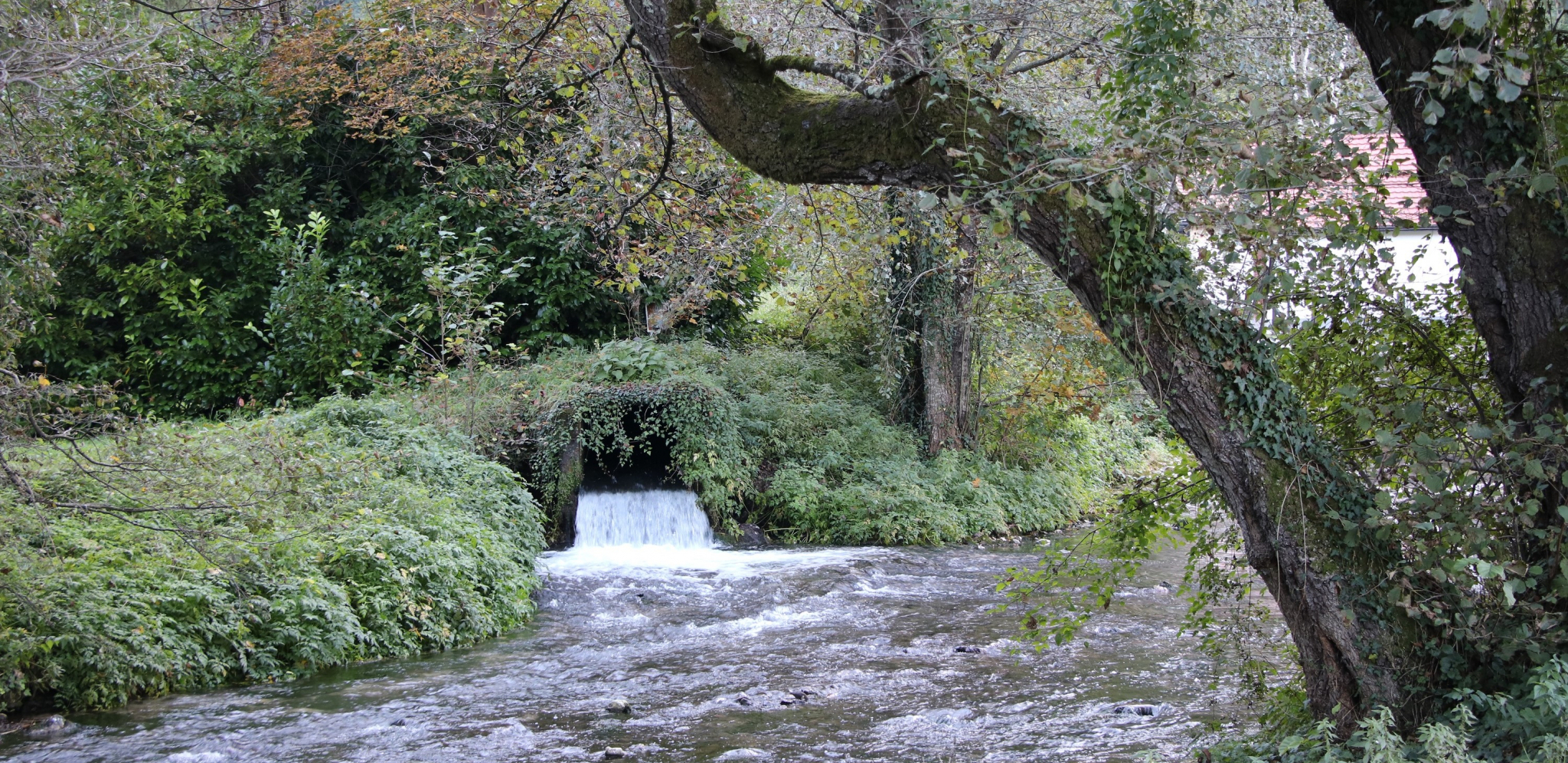 K'O DA MU JE TATA KUPIO REKU JELAŠNICU, PREGRADIO JE I NAPRAVIO SEBI DVA JEZERA! Uhapšen osumnjičeni Vlasotinčanin zbog eko kriminala