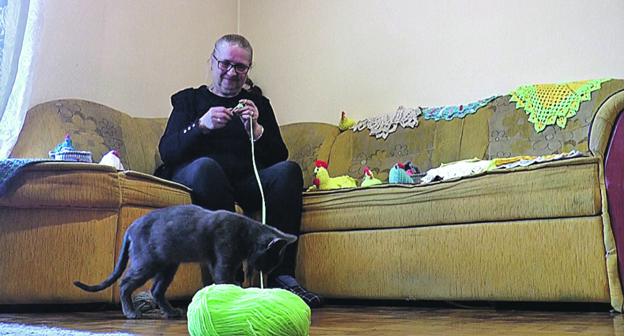 NAJNEOBIČNIJEG ŠEGRTA U SRBIJI ima Borislava iz Čačka: Mačak Milisav mrsi i odmrsuje konce