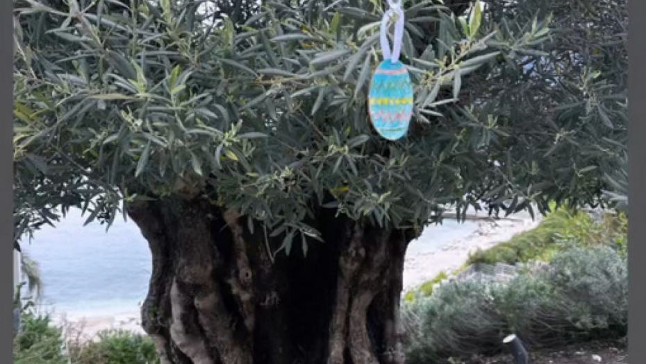 Dom Miroslava Miškovića 