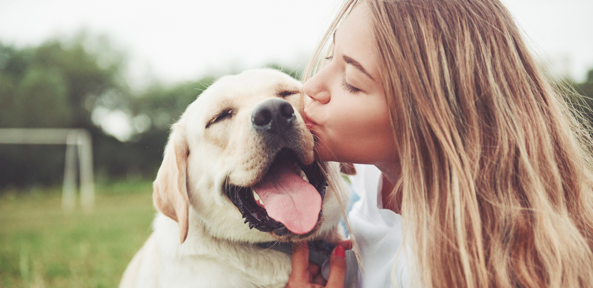 NAUČNO DOKAZANO Sada je i potvrđeno da postoje osobe koje više vole pse nego ljude