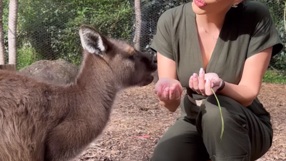 Katarina Grujić uživa u Australiji