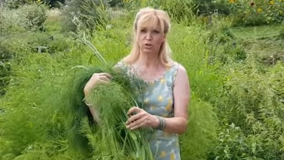 POMAŽE GOJAZNIM I SRČANIM BOLESNICIMA Sitno seme topi kilograme kao od šale