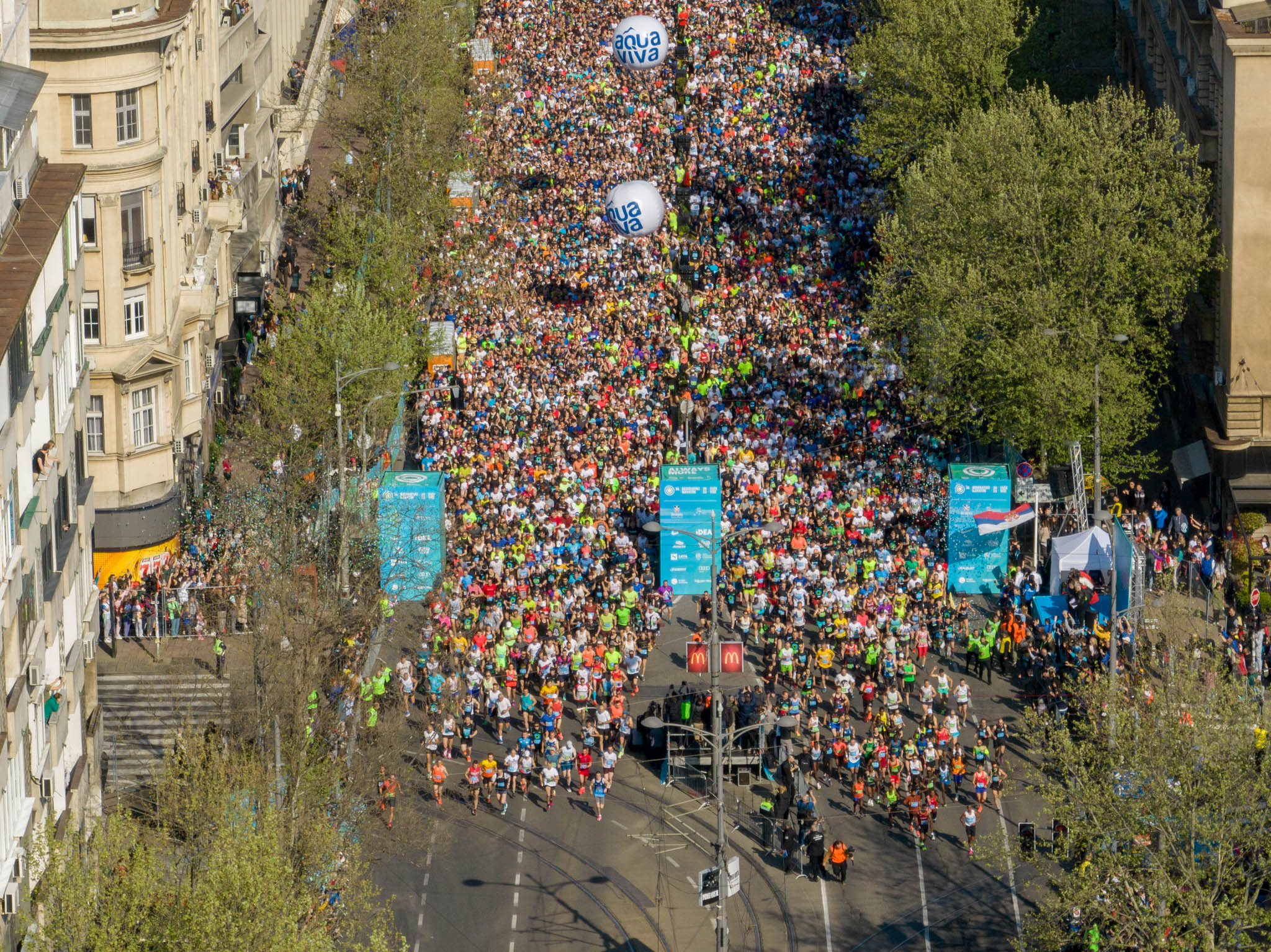 FANTASTIČNA SLIKA BEOGRADA POSLATA U SVET Darko Habuš sumirao utiske nakon 36. Beogradskog maratona