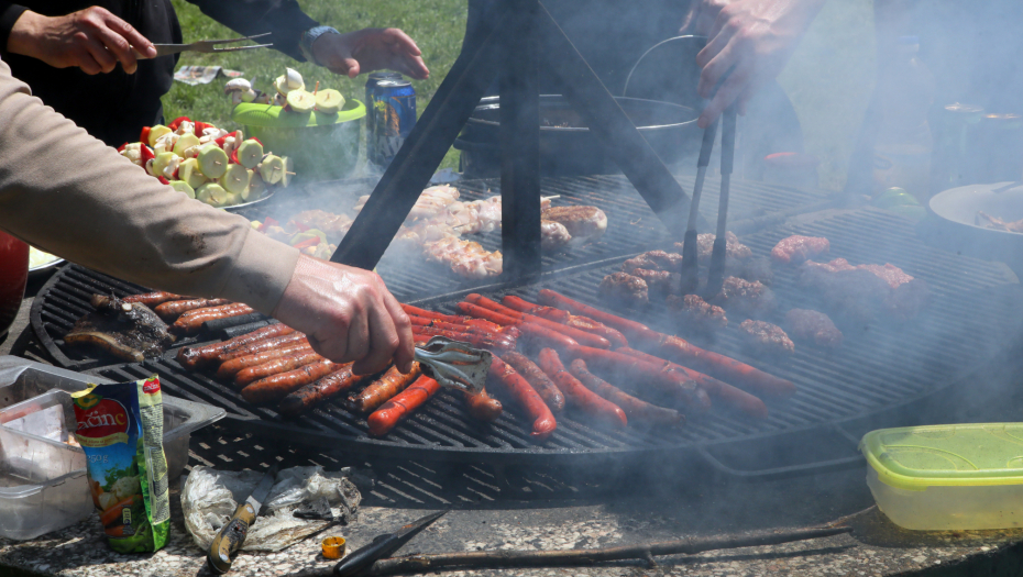 SA PROLEĆEM DOLAZE I KRPELJI Evo kako da rizik od ujeda svedete na minimum, i da sebi ne pokvarite praznike!