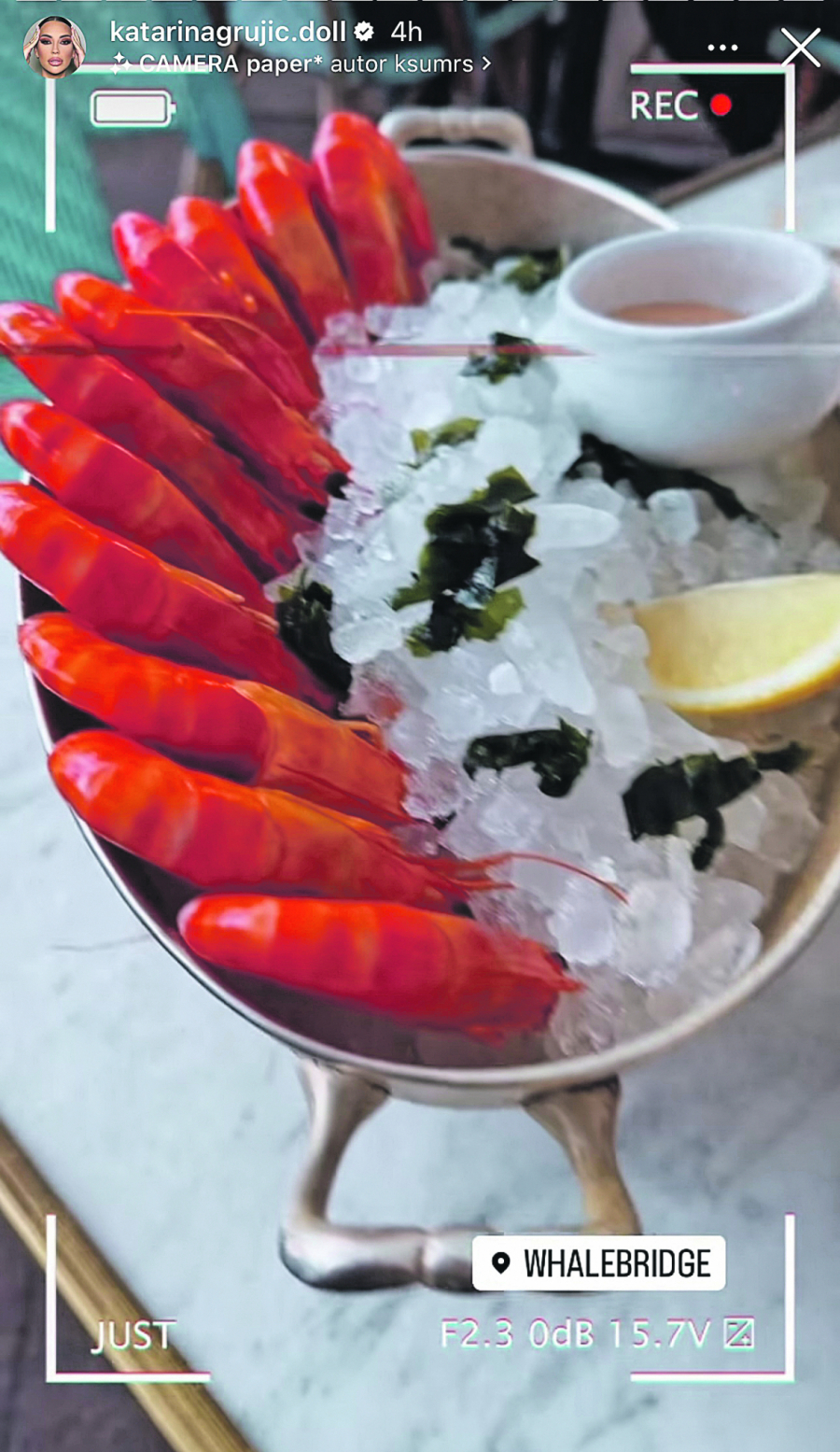 ŠIROKO Grujićeva za avio kartu iskeširala godišnju platu! Od cifre će vas zaboleti glava (FOTO)