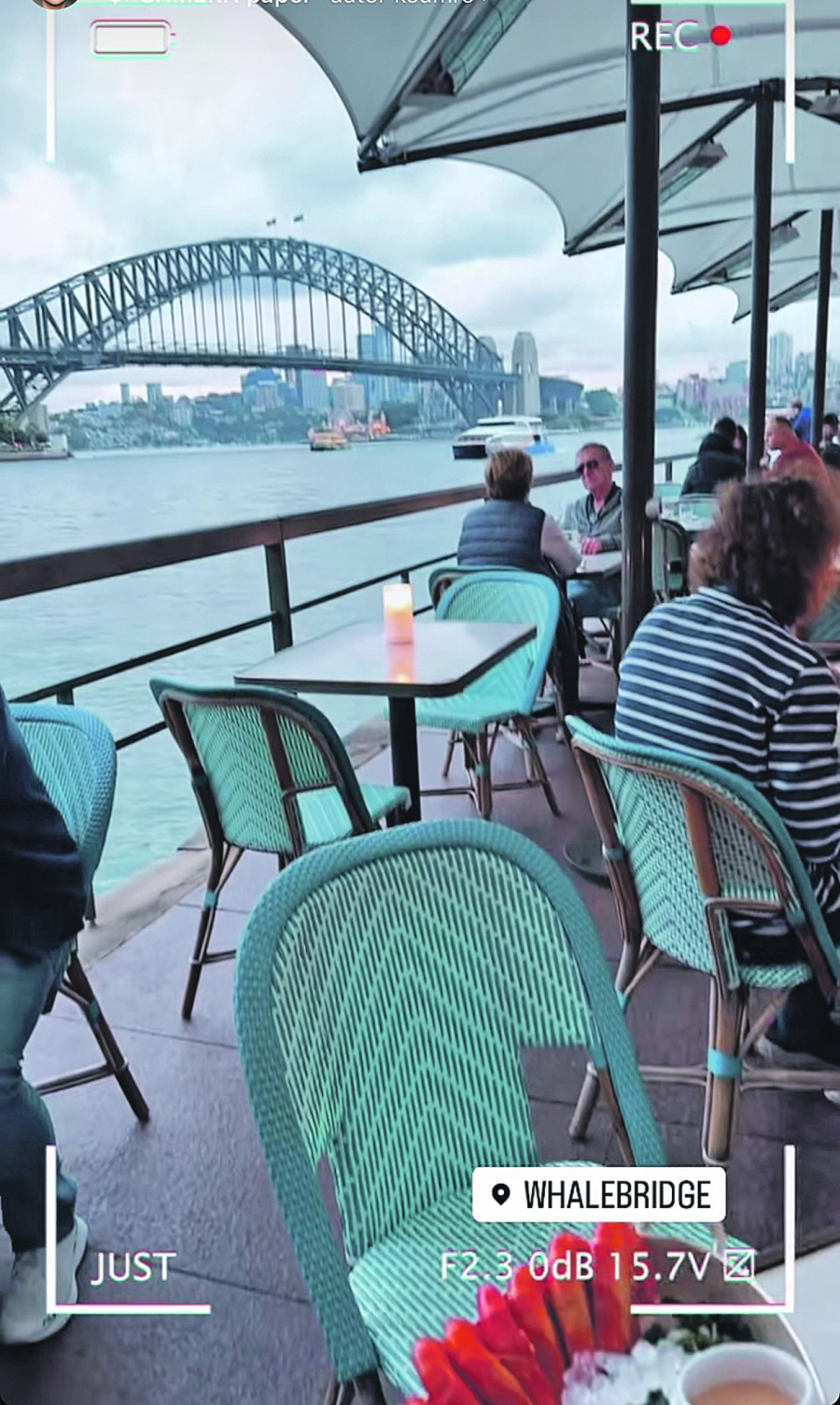 ŠIROKO Grujićeva za avio kartu iskeširala godišnju platu! Od cifre će vas zaboleti glava (FOTO)