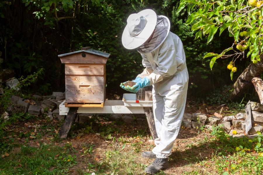 SIGURNA ZARADA Sjajan porodični biznis, dobra cena, a država daje subvencije