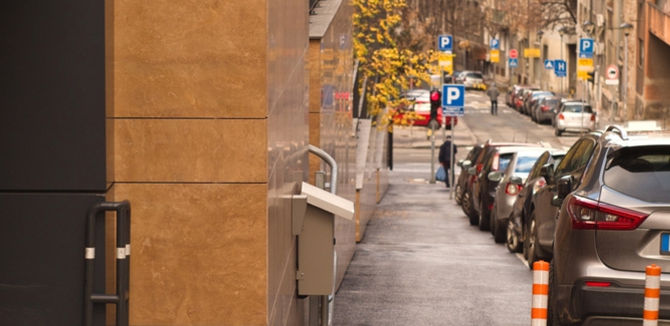 VRAČAR DOBIO NOVOG STANOVNIKA Voli da sunča, i mnogo je lep