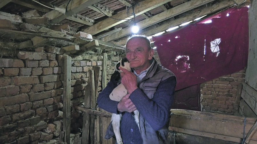 FENOMEN U ŠUMADIJI! Sedam ovaca na svet donelo 21 jagnje Belka ojagnjila pet mladunaca