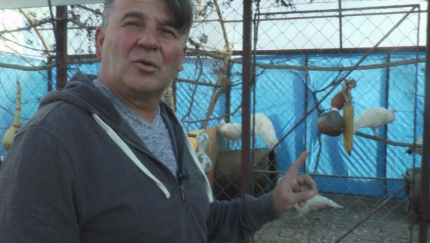 DRAGAN RAZVIO UNOSAN BIZNIS Uzgaja ptice koje mnogo vrede: Veruje se da ljudima donose sreću!