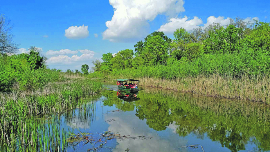 1. MAJ U SRBIJI Roštilj, muzika i mnogo uživanja