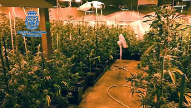 VELIKA ZAPLENA DROGE U ITALIJI: Uhapšena dvojica Albanaca, droga vredna preko 350.000 evra