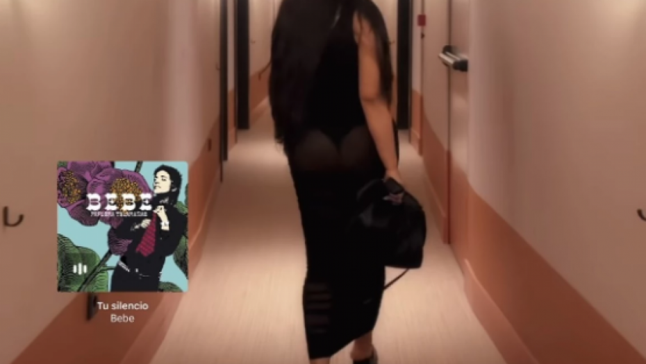 Seka Aleksić u providnoj haljini