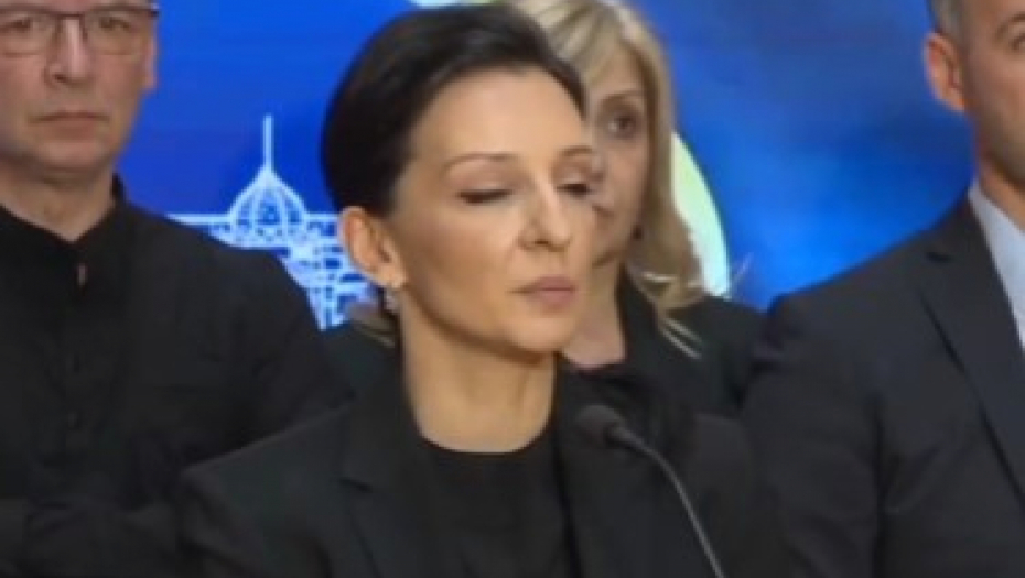 IZJAVA MARINIKE TEPIĆ JE NEDOPUSTIVA Veljanovski: Dobro je da je ukinut Anketni odbor! (VIDEO)