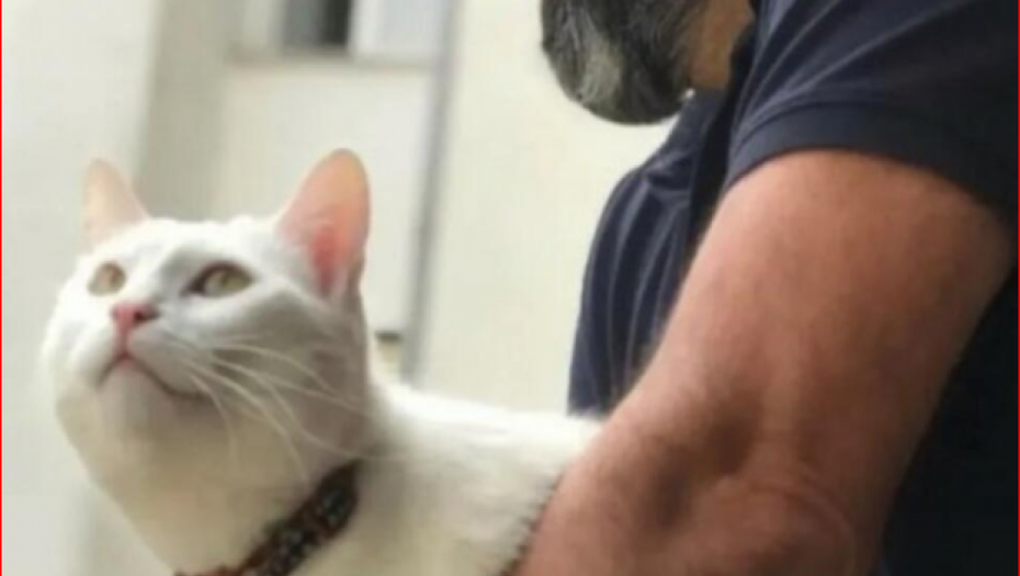 Smrt Emirovog prijatelja 