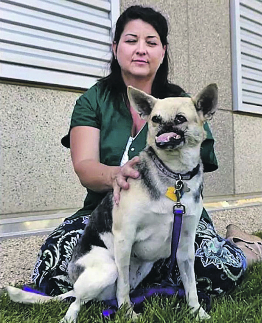 Dirljiva priča o filipinskoj kuci po imenu KABANG koja je rizikovala svoj život da bi spasla dvoje dece i ostala težak invalid